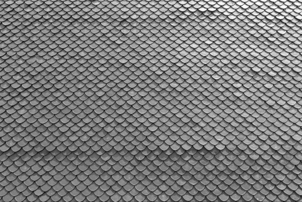 The Fish Scale Pattern